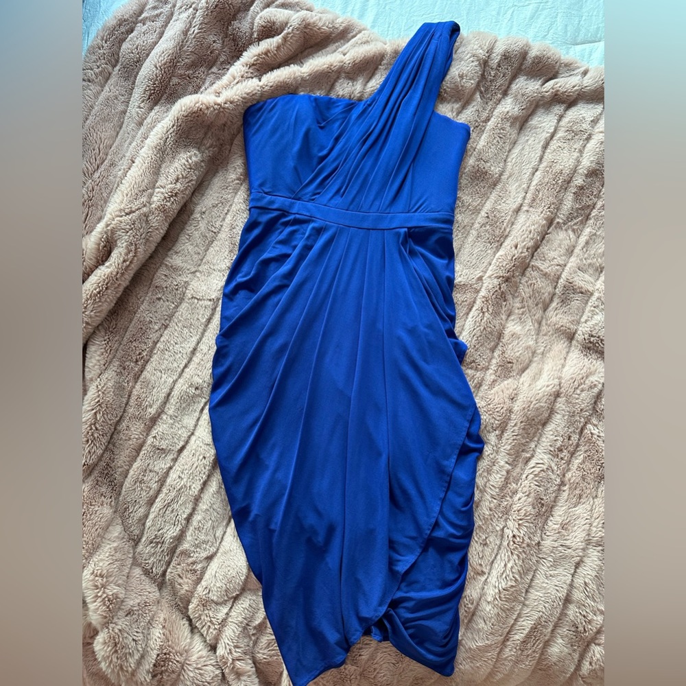 BCBG Max Azria Dress (4)